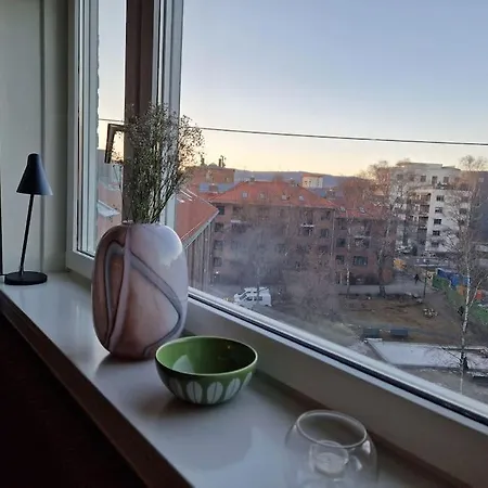 Private In Apartment Oslo